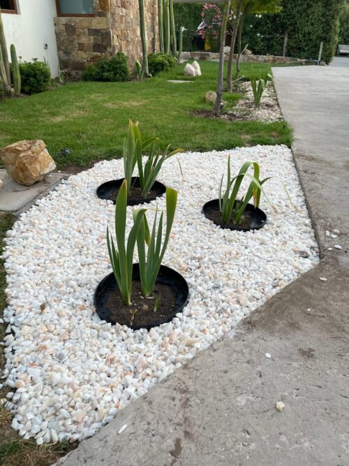 Fijador para piedras (rinde 10 a 12m2) , solo pegamento! Compras!! (sobre 10uni) - Imagen 3